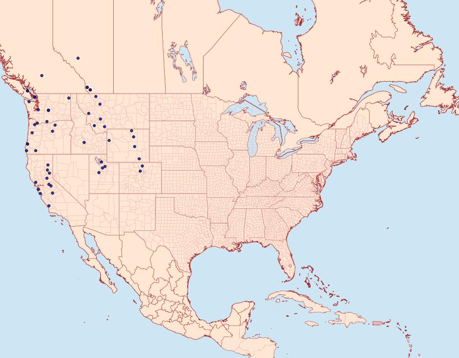 Distribution Data for Pyrgus ruralis