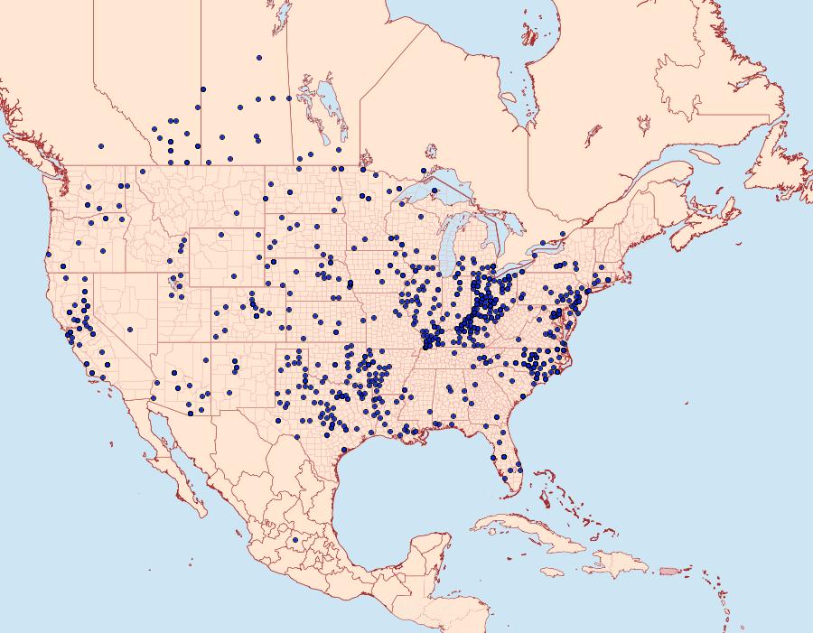 Distribution Data for Burnsius communis