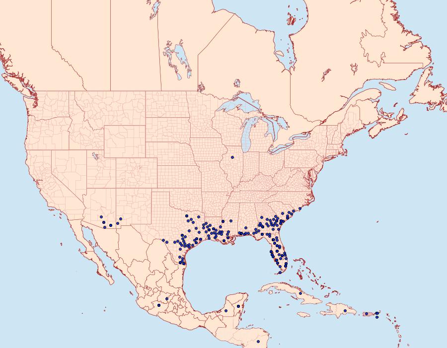 Distribution Data for Burnsius oileus