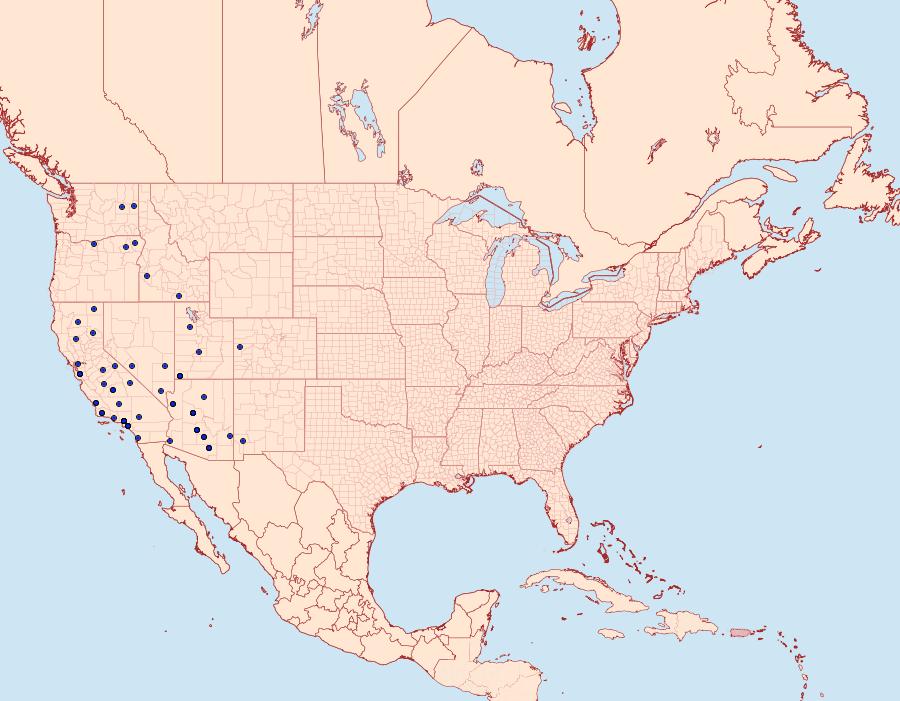 Distribution Data for Heliopetes ericetorum