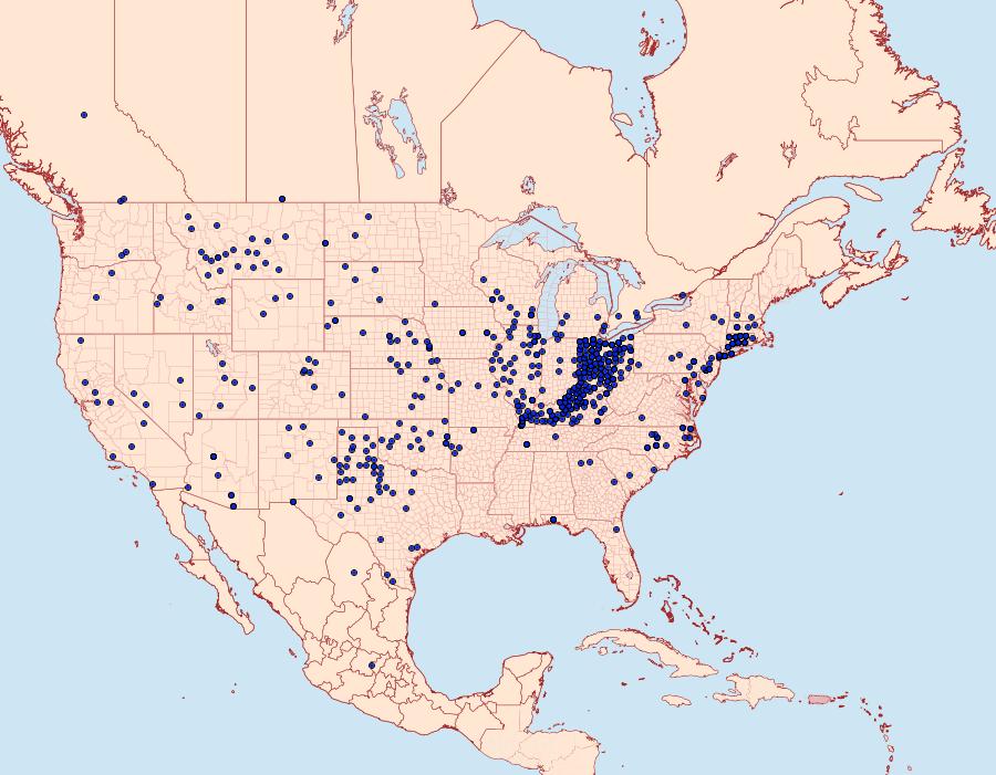 Distribution Data for Pholisora catullus