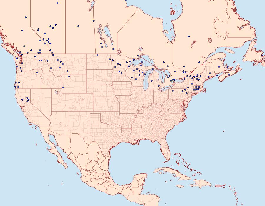 Distribution Data for Carterocephalus mandan