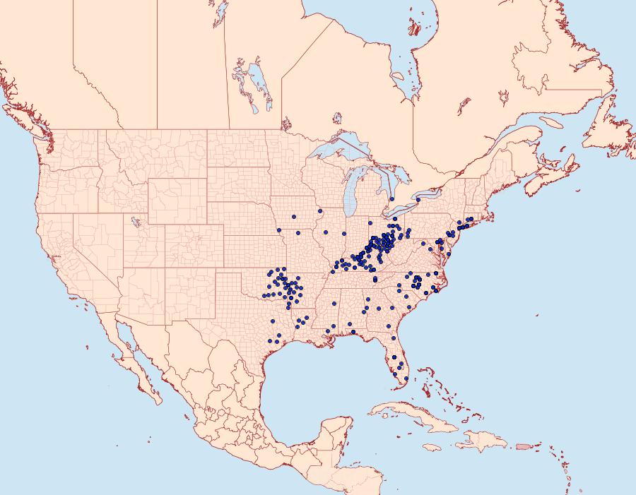 Distribution Data for Nastra lherminier