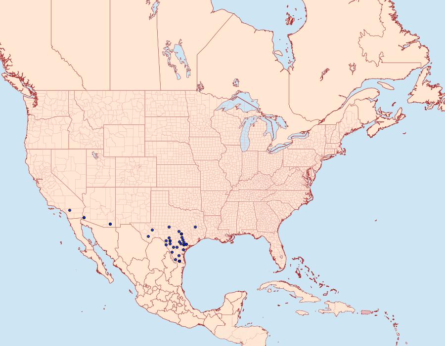 Distribution Data for Nastra julia