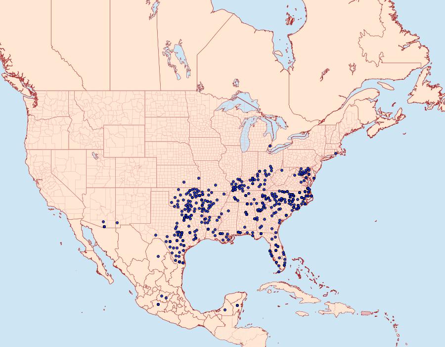 Distribution Data for Lerema accius