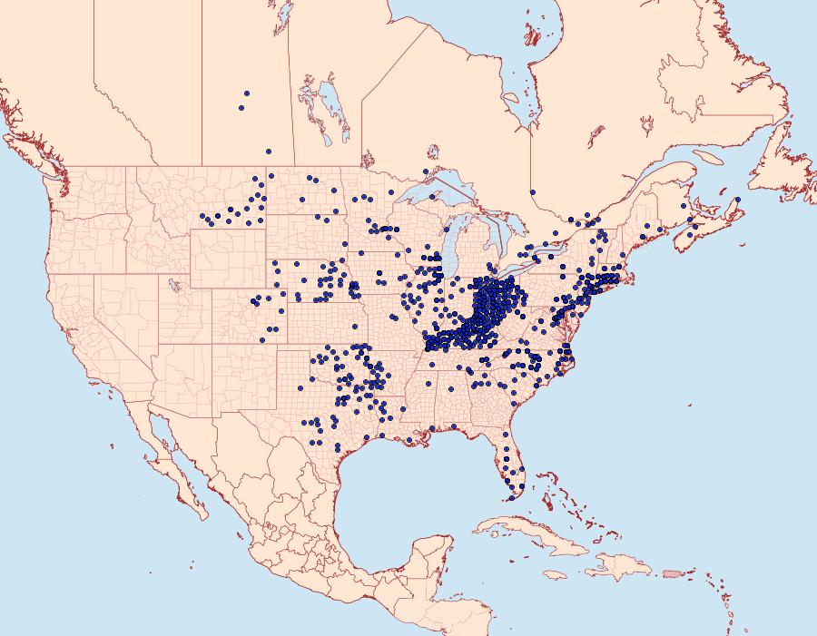 Distribution Data for Ancyloxypha numitor