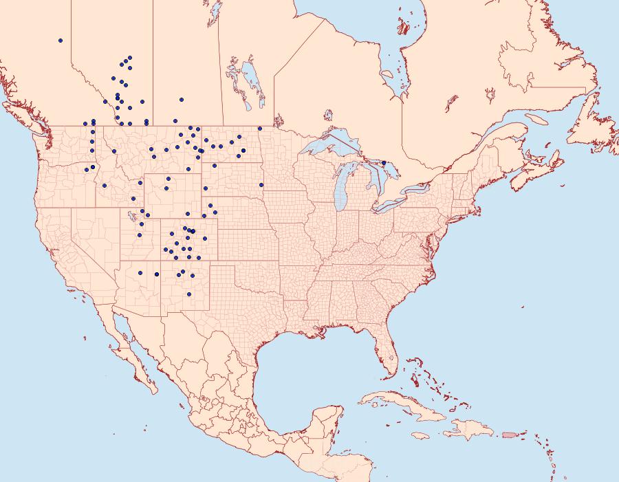 Distribution Data for Oarisma garita