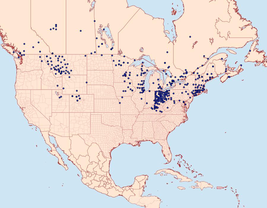 Distribution Data for Thymelicus lineola