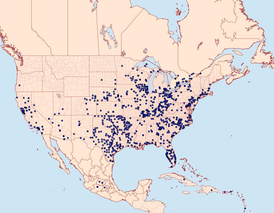 Distribution Data for Hylephila phyleus