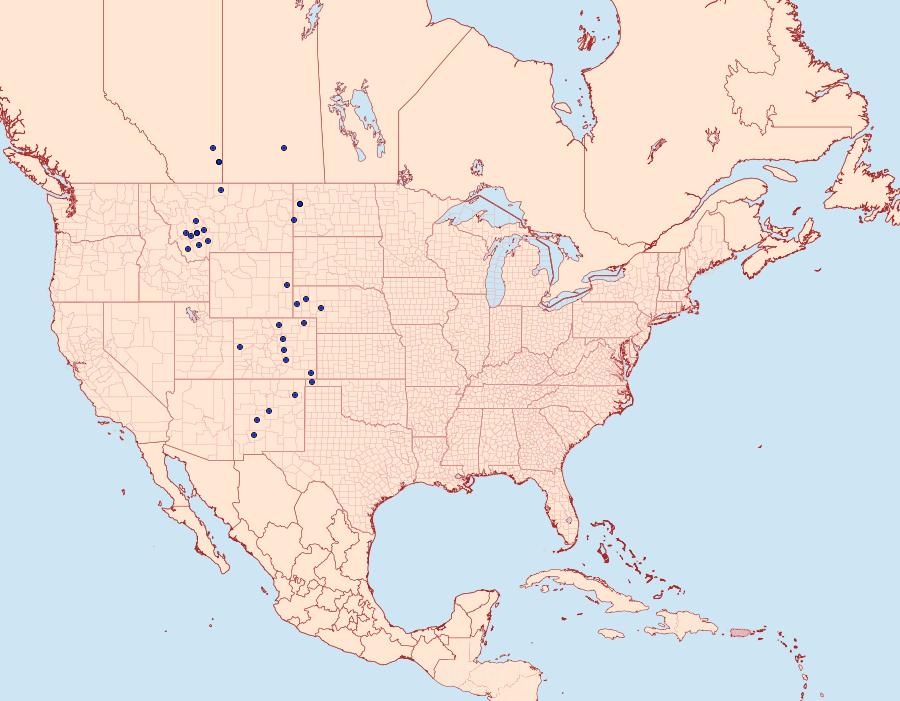 Distribution Data for Polites rhesus