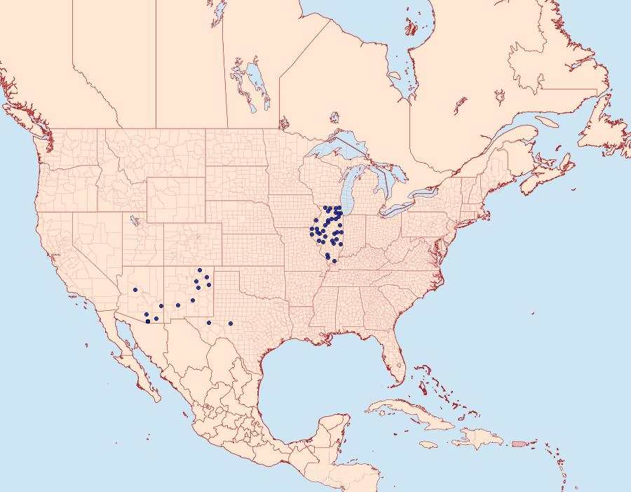 Distribution Data for Polites carus