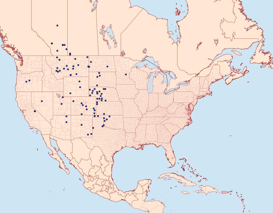 Distribution Data for Hesperia uncas