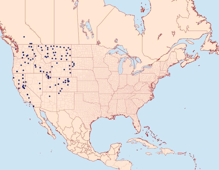 Distribution Data for Hesperia juba