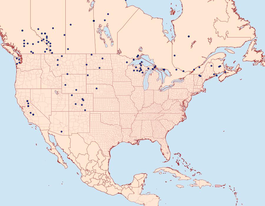 Distribution Data for Hesperia comma