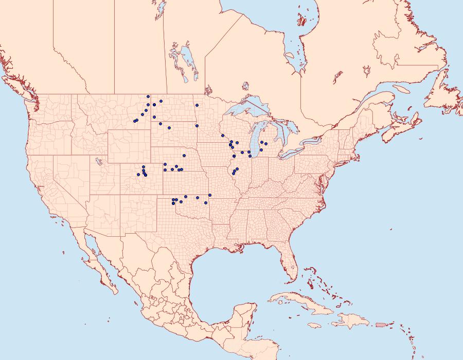 Distribution Data for Hesperia ottoe