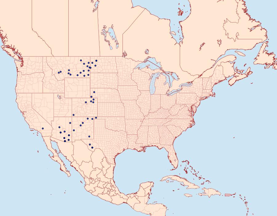 Distribution Data for Hesperia pahaska