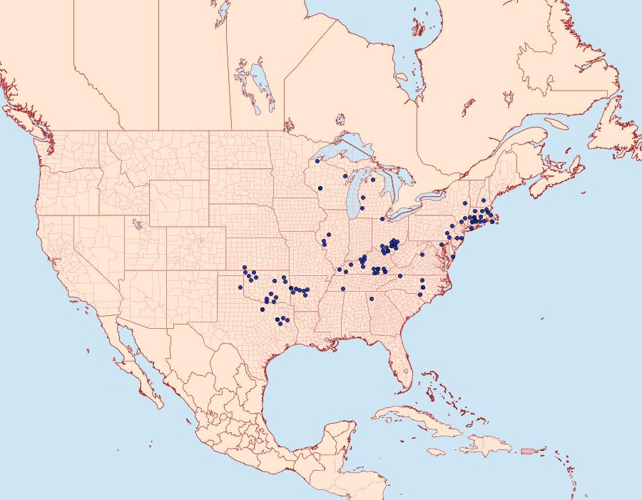 Distribution Data for Hesperia metea