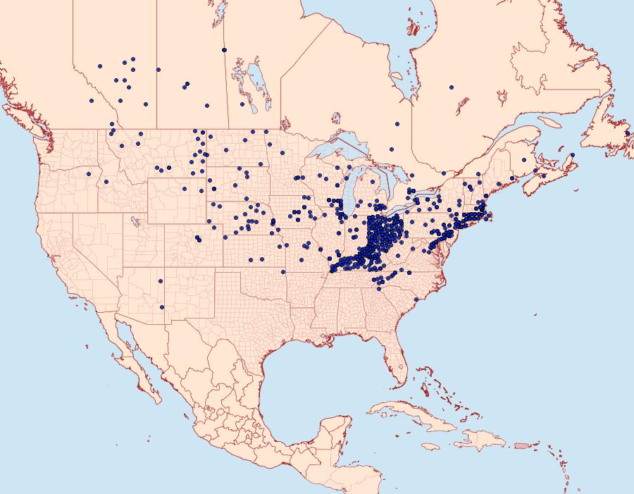 Distribution Data for Polites coras