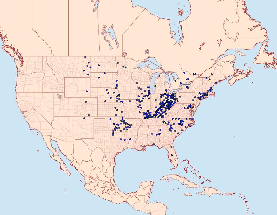 Distribution Data for Polites origenes