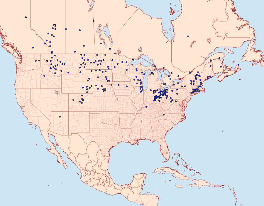 Distribution Data for Polites mystic