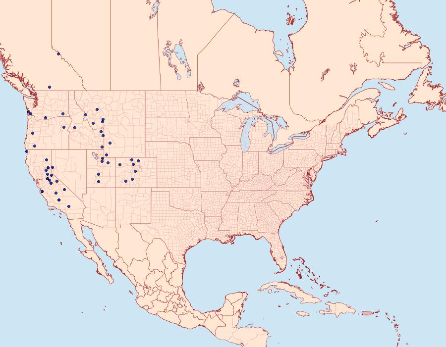 Distribution Data for Polites sonora