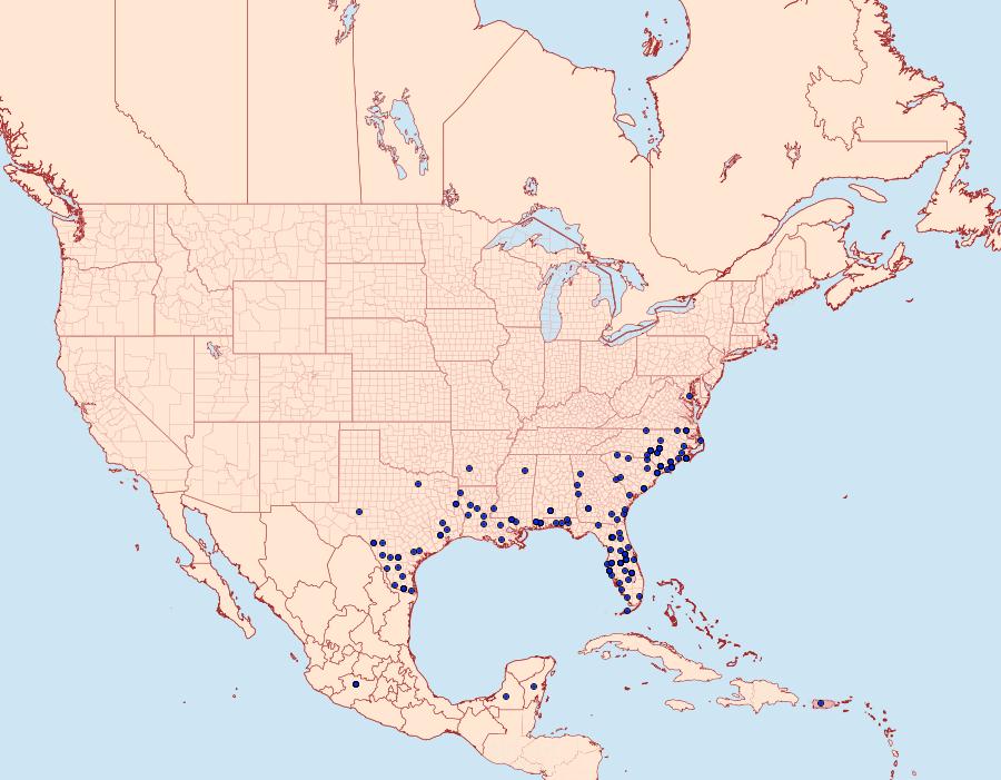 Distribution Data for Polites vibex