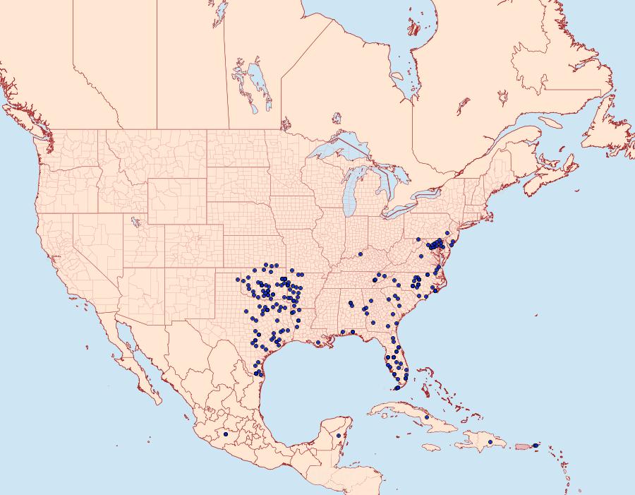 Distribution Data for Polites otho