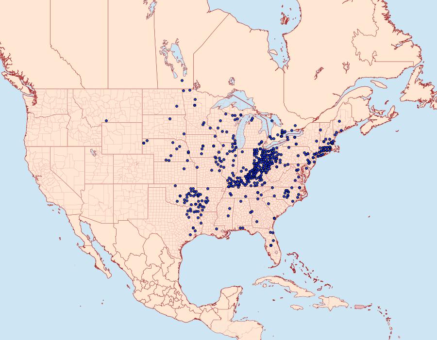 Distribution Data for Polites egeremet