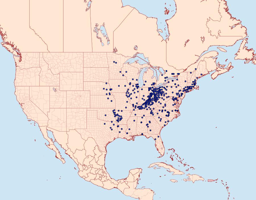 Distribution Data for Vernia verna