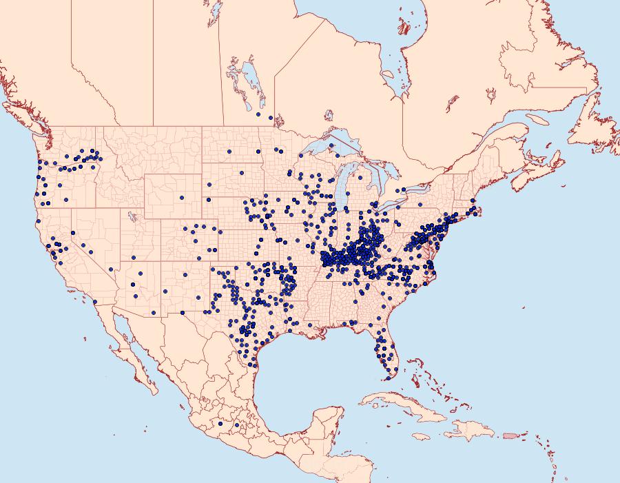 Distribution Data for Atalopedes campestris