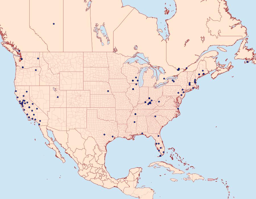 Distribution Data for Tinea pellionella