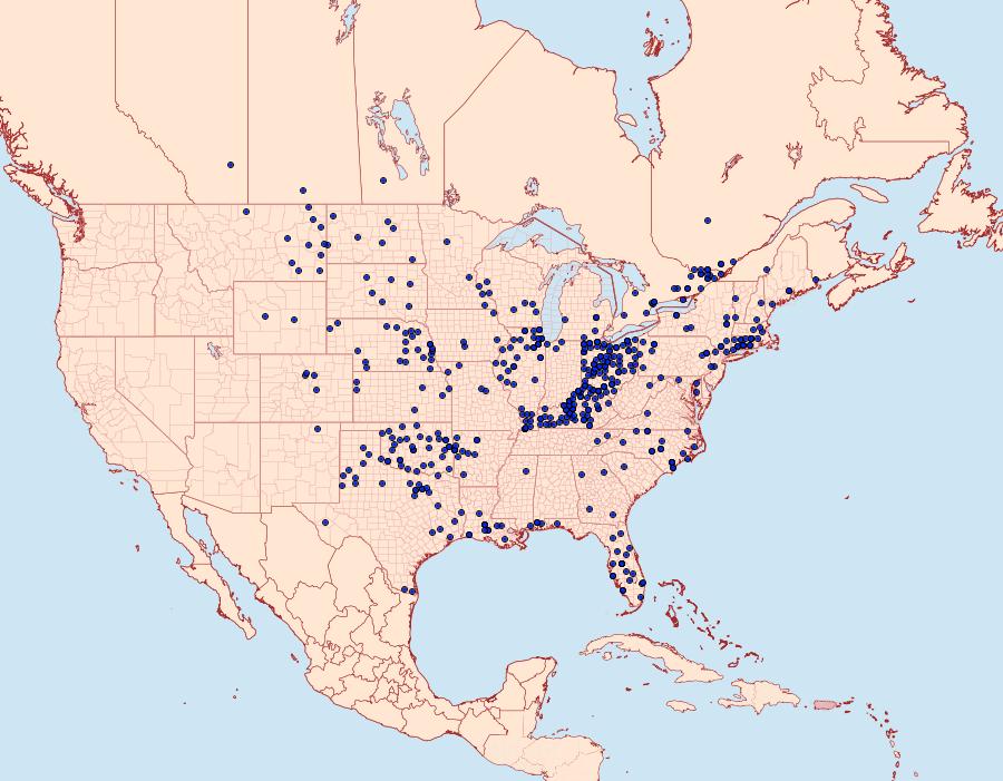 Distribution Data for Anatrytone logan