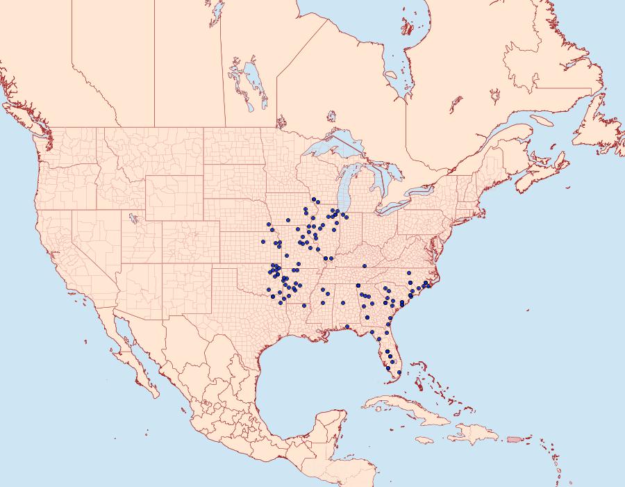 Distribution Data for Problema byssus