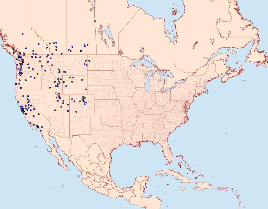 Distribution Data for Ochlodes sylvanoides