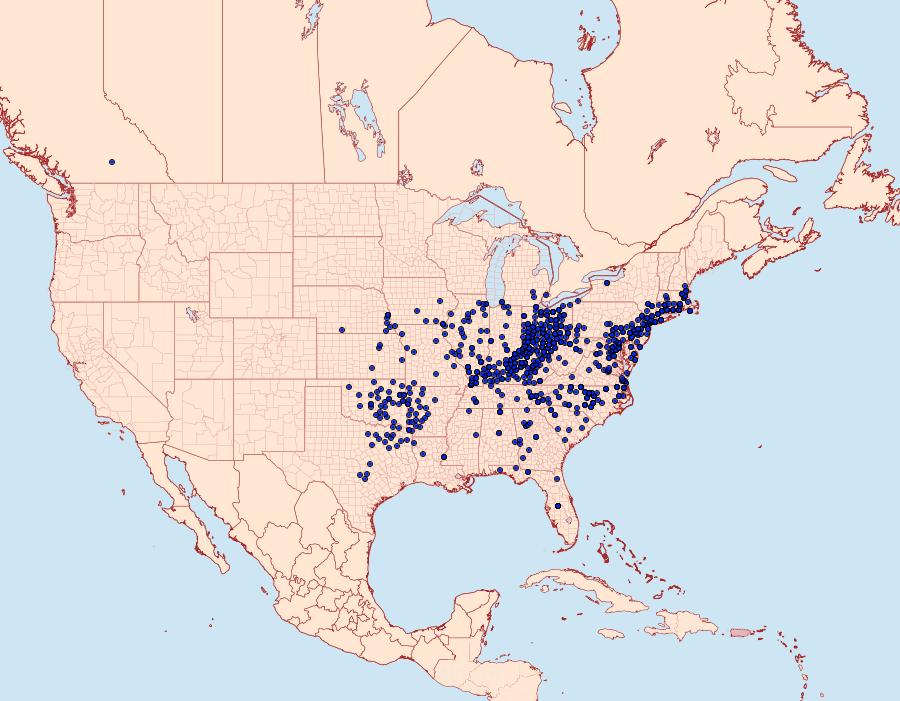 Distribution Data for Lon zabulon