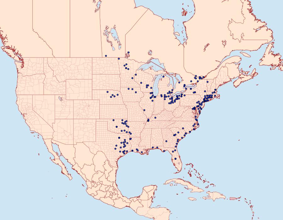 Distribution Data for Poanes viator