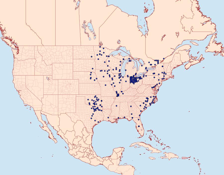 Distribution Data for Euphyes dion