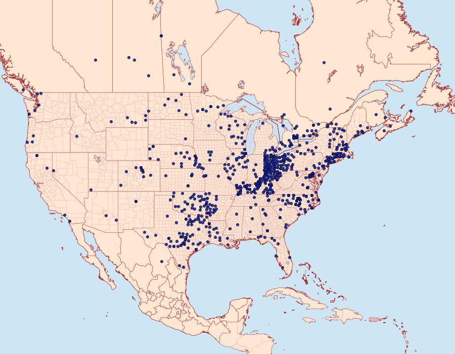 Distribution Data for Euphyes vestris