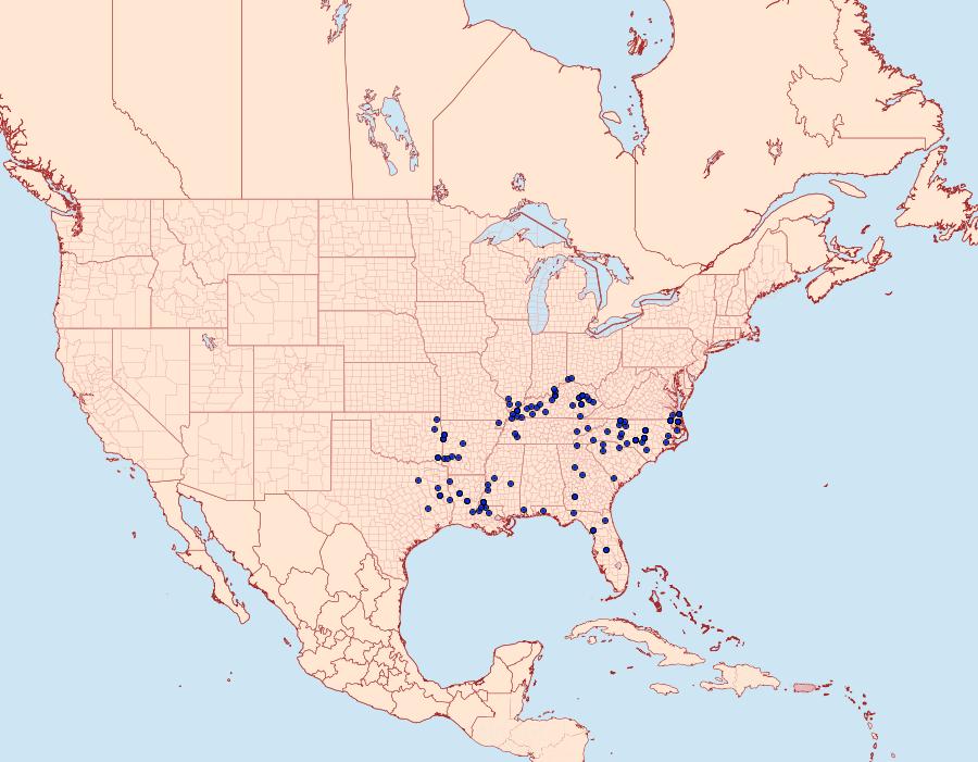 Distribution Data for Amblyscirtes aesculapius