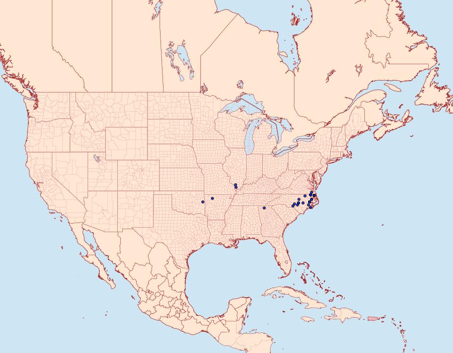 Distribution Data for Amblyscirtes carolina