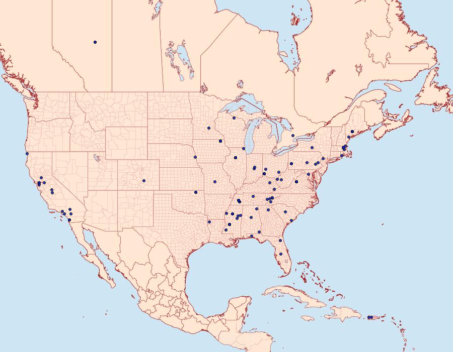 Distribution Data for Niditinea fuscella