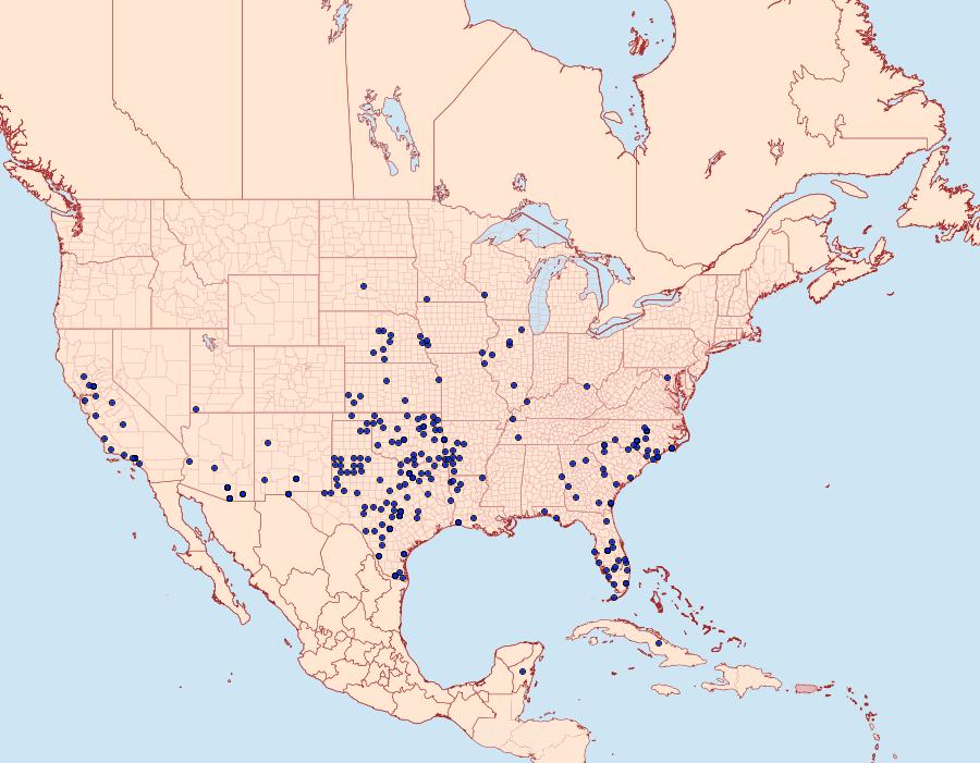 Distribution Data for Lerodea eufala