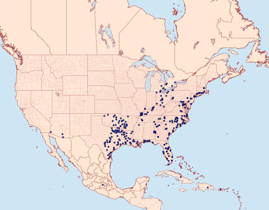 Distribution Data for Panoquina ocola