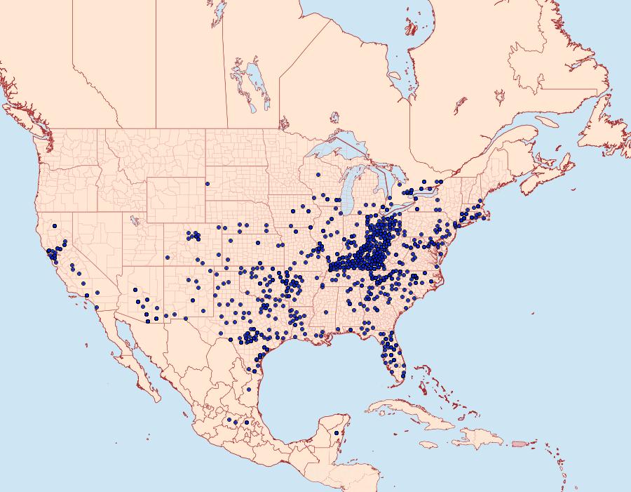 Distribution Data for Battus philenor