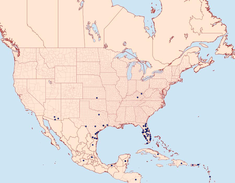 Distribution Data for Battus polydamas