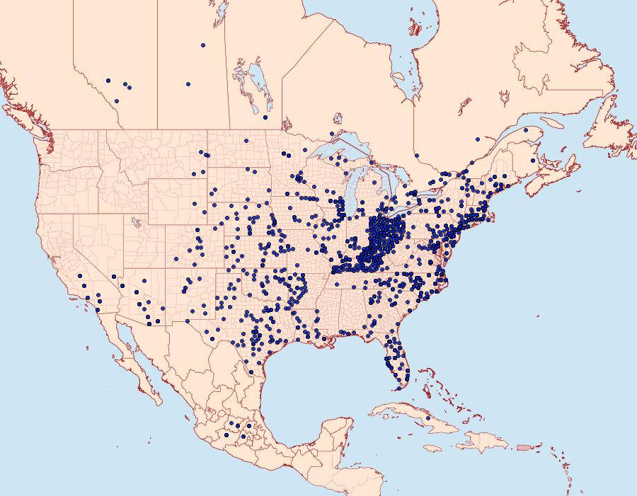 Distribution Data for Papilio polyxenes