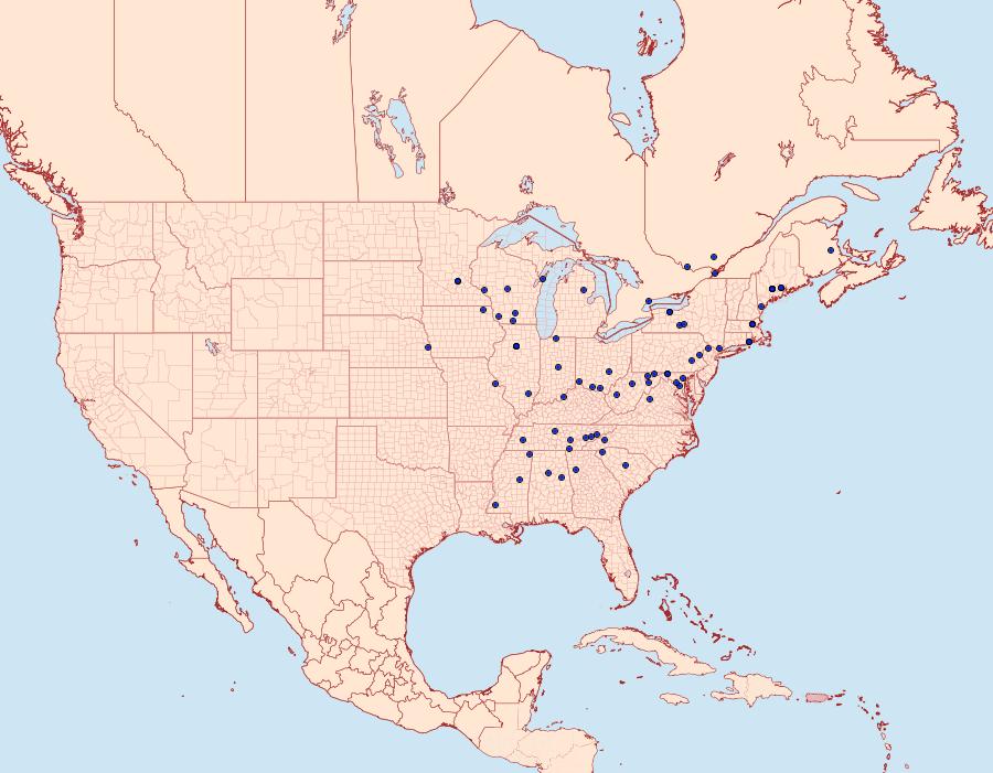 Distribution Data for Monopis dorsistrigella