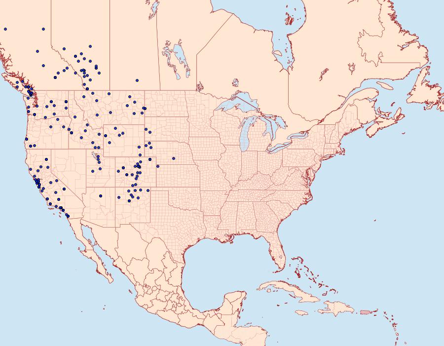 Distribution Data for Papilio zelicaon