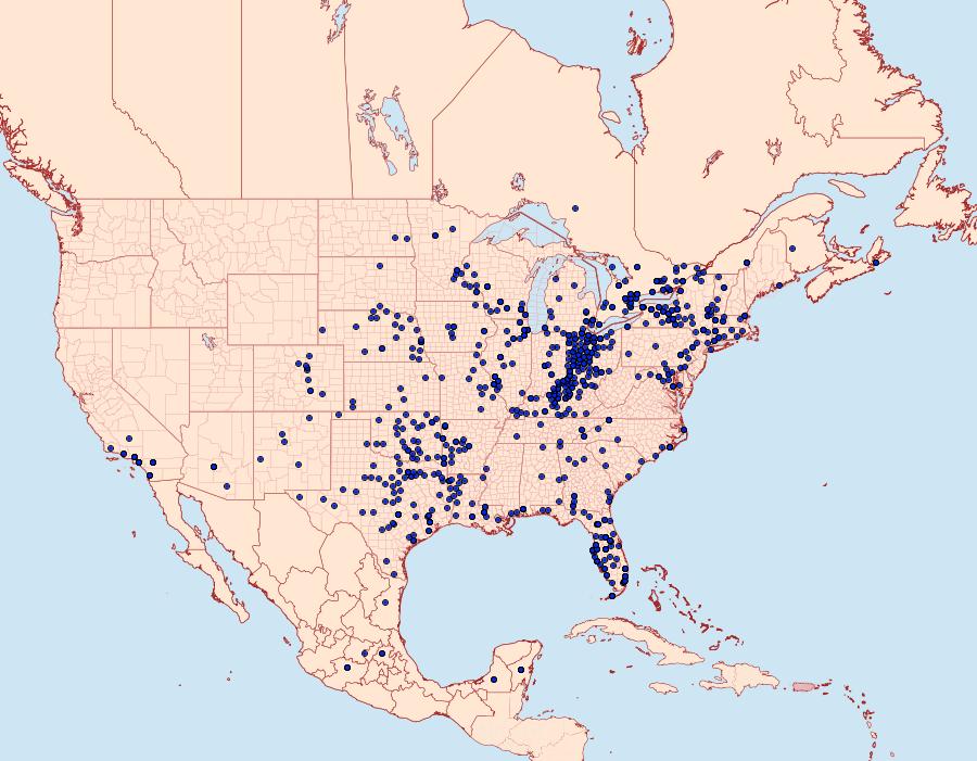 Distribution Data for Heraclides cresphontes