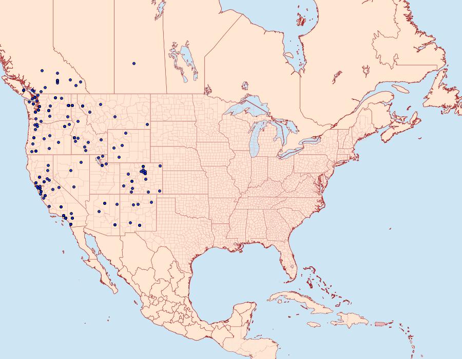 Distribution Data for Pterourus rutulus